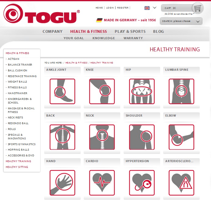 The Healthy Training Programme