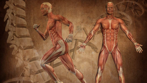 Body axis training – strategies against joint pain